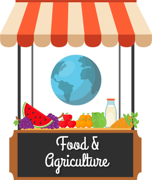 food websites